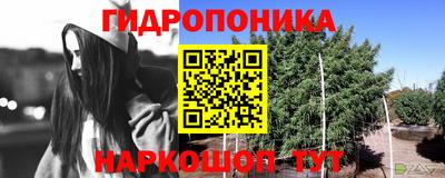 сатива Заводоуковск