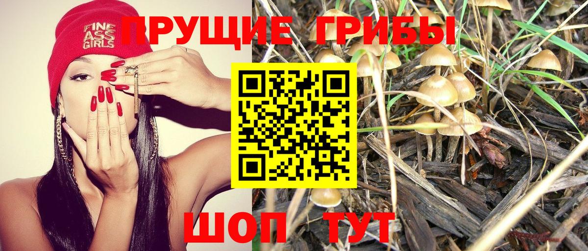 Псилоцибиновые грибы мухоморы  Галлюциногенные грибы Cubensis  Кыштым  Вход с VPN 