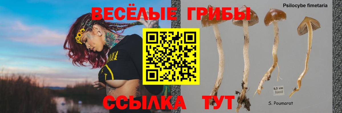 Галлюциногенные грибы GOLDEN TEACHER Кыштым
